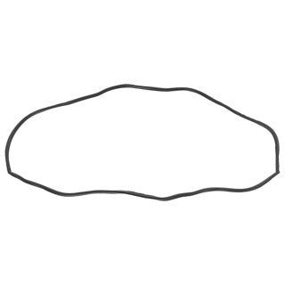 281-995 88G455 MG MIDGET SPRITE SEAL WINDSCREEN GLAZING