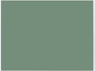 456-329 MG TC TD TF GREEN VINYL PER 2 YARDS