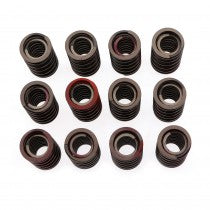 021-029 12B1344K V/SPRING SET 6CYL MG