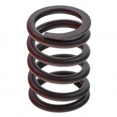 831-027 136487 VALVE SPRING TR6
