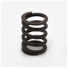 831-047 157229 V/SPRING OUTER