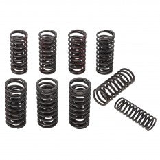 423-410 423-410 VALVE SPRING SET