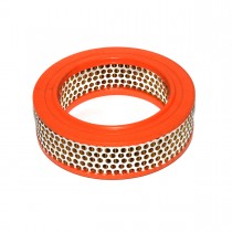 950-820 GFE1020 FILTER AIR TR250/6C