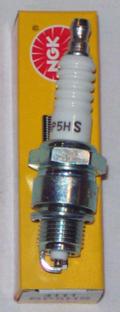 BP5HS SPARK PLUG (L92Y) V8