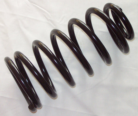 071-419 TKC3300 RD SPRING RR TR7