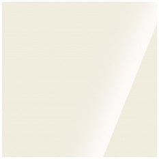 216-095 CCWT19TU TRIUMPH WHITE  125ML