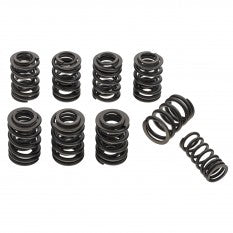 831-010 TT1107 V/SPRING SET TR4A